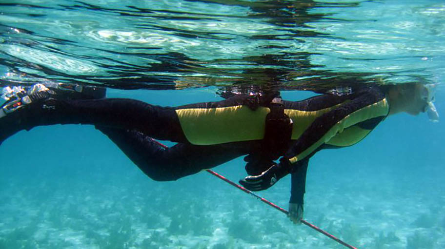Freediver underwater with speargun