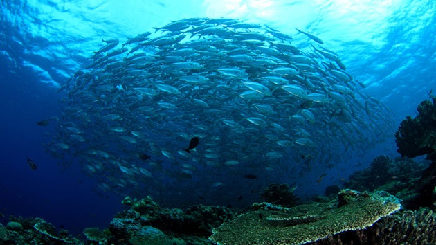 What is sustainable fishing?