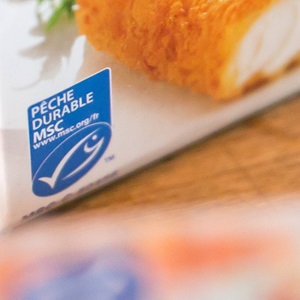 Où trouver des produits durables ?