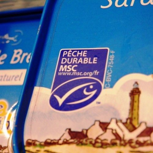 Que signifie le label MSC pêche durable ?