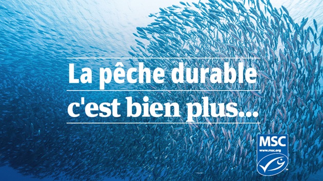15 ans de Pêche Durable avec le MSC France