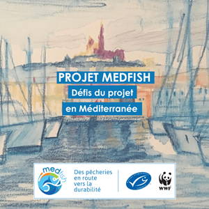 Rapport d'impact Medfish 2024