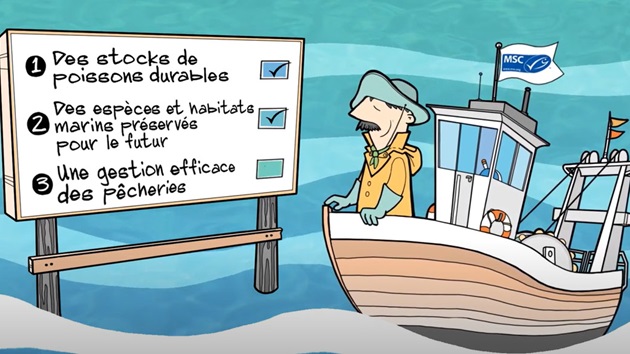 Découvrez les 3 principes du Référentiel MSC Pêche Durable en vidéo