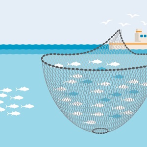 Les techniques de pêche