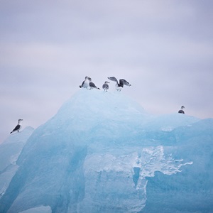 Le programme de suivi et d'évaluation du MSC