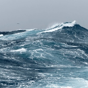 Les océans en danger