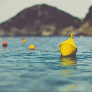 Pêcherie de hareng de Mer du Nord