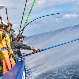 Pêcherie de thon germon en Aquitaine
