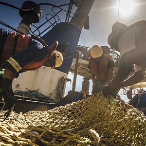 Comment les pêcheries certifiées MSC s'améliorent-elles?