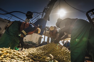 Améliorations des pêcheries