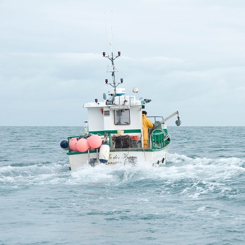 Les pêcheries engagées