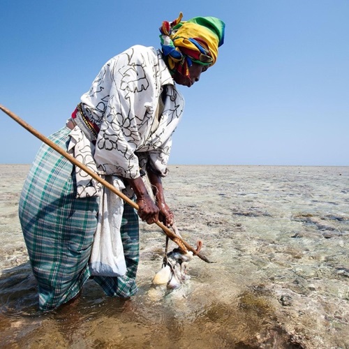 Fonds d'Aide à la Transition