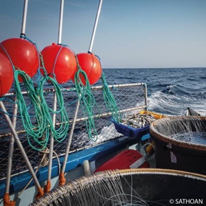 Le Référentiel MSC Pêche Durable