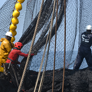 Pêcherie de thon dans l’Atlantique