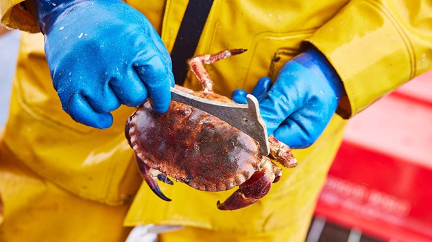 Révision du Référentiel Pêcheries