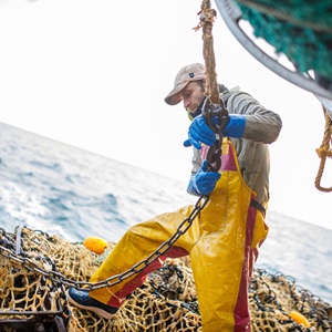 La certification MSC