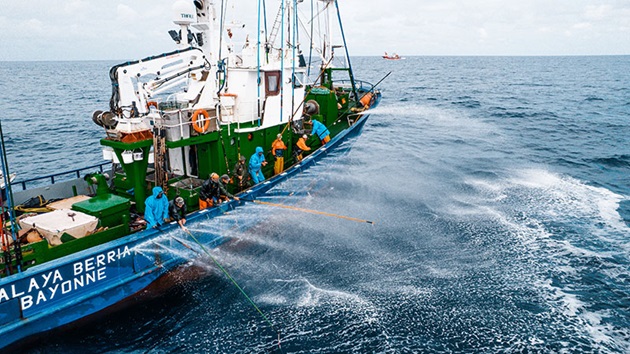 Avant la certification