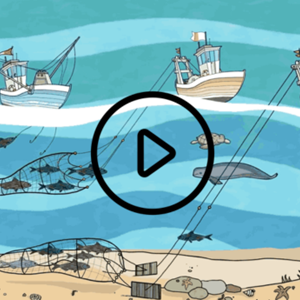 Impact environnemental minimisé