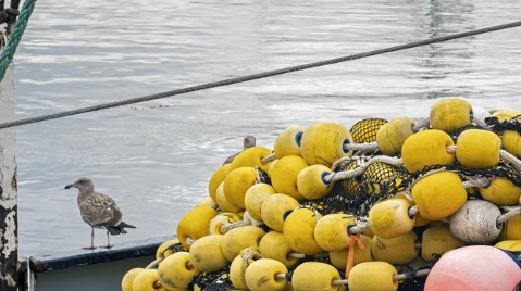 Fisheries Standard Toolbox Review