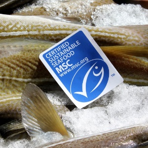 What does the MSC label mean?