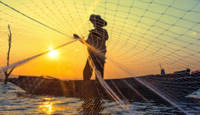 Ocean Stewardship Fund