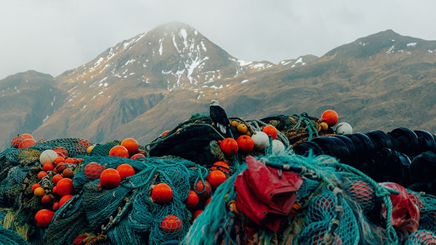 Four fisheries preventing ocean plastic pollution