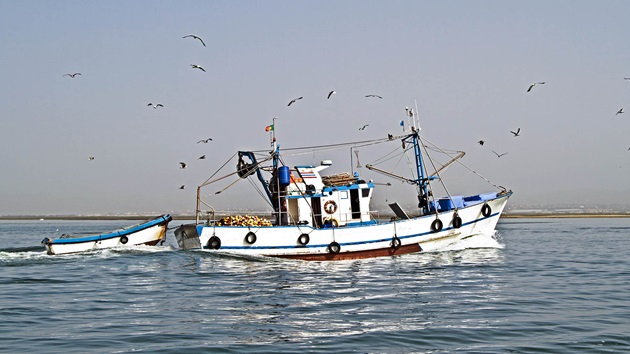 Embarca Project