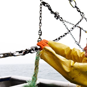 Le référentiel MSC pêche durable