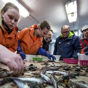 Les bourses de recherche pour étudiants du MSC