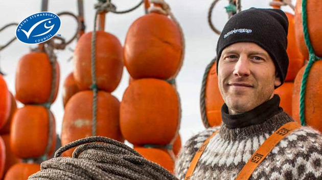 Rapport Annuel MSC 2023-2024