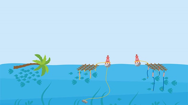Fish aggregating devices (FADs)