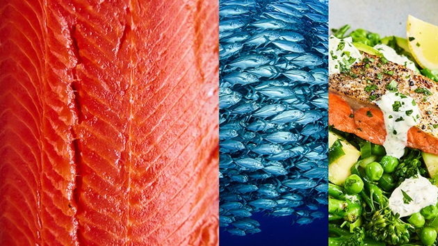 Protein-rich sustainable seafood recipes 2026