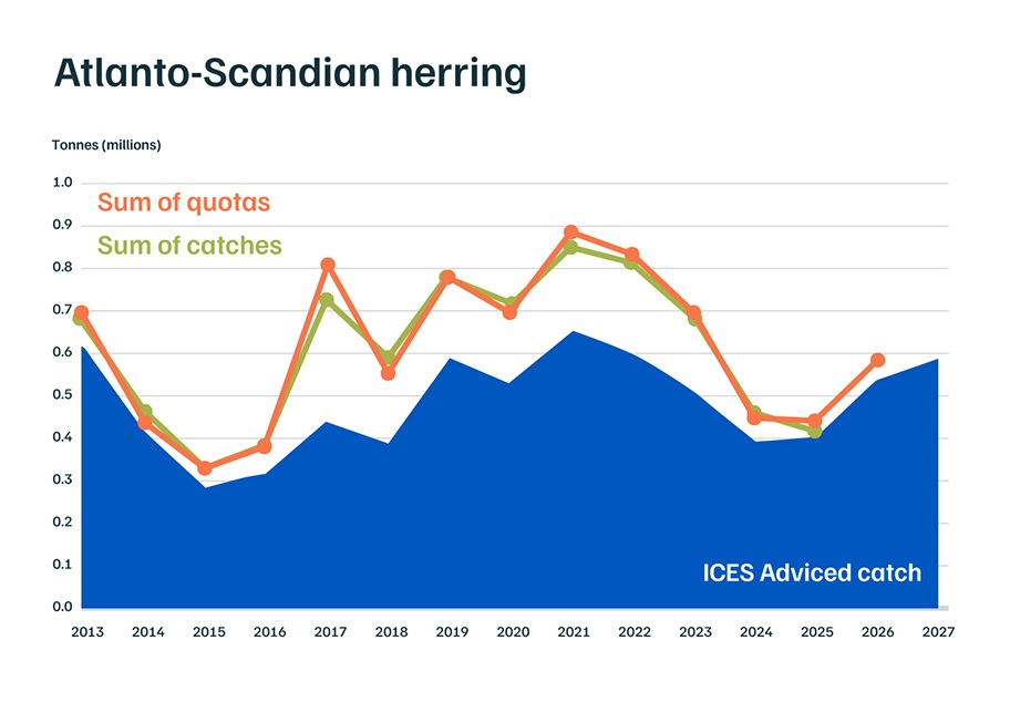 North East Atlantic Atlanto Scandian herring catch vs advice graph