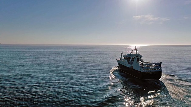 Assessing climate risks