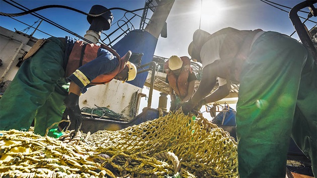 Fisheries improving