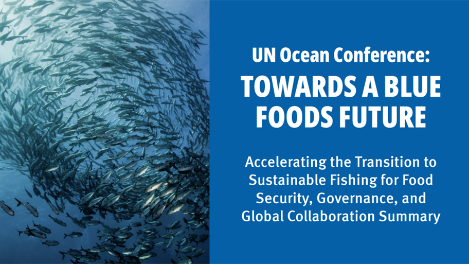 UN Ocean Conference banner with swirling school of fish and text: Towards a Blue Foods Future