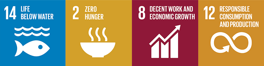 Icons for United Nations Sustainable Development goals 14 - Life below Water, 2 - Zero Hunger, 8 - Decent work, and 12 - Responsible consumption