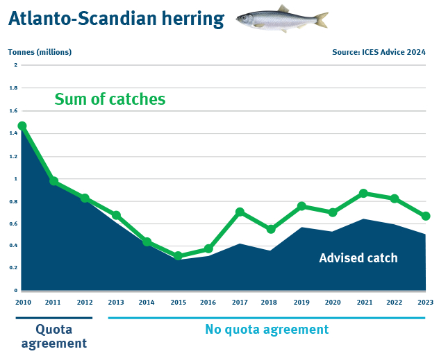 Graph showing fishing catch of Atlanto-Scandian herring exceeding scientifically advised limits