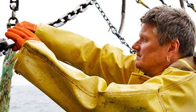 Fishery certification guide