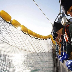 Meet the people behind the blue fish label