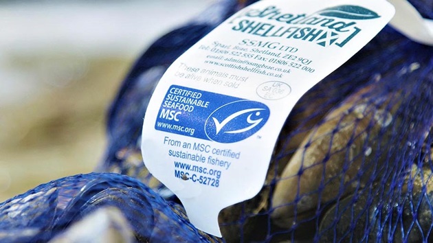 What does the blue MSC label mean?