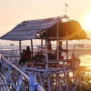 Indonesian blue swimmer crab: Further strategies for sustainability