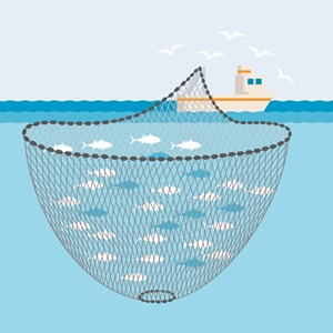 Fishing methods and gear types