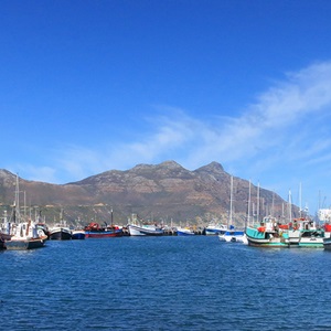 Fishery Improvement Tools