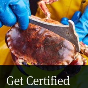 Download our PDF guide