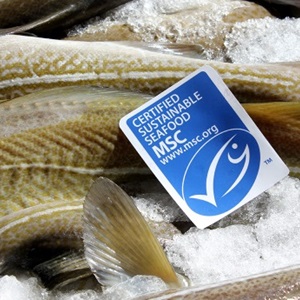 What is the blue MSC label?