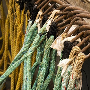 Fisheries Standard Toolbox