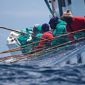 MSC Improvement Program