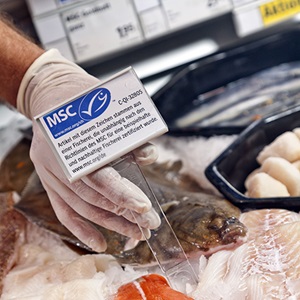 Use the blue MSC label
