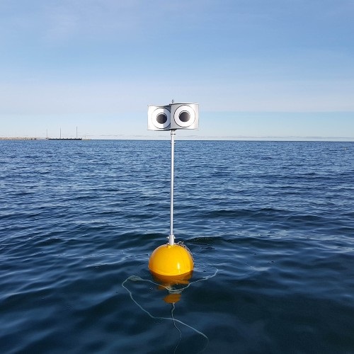 Testing novel seabird bycatch mitigation in Iceland lumpfish fisheries